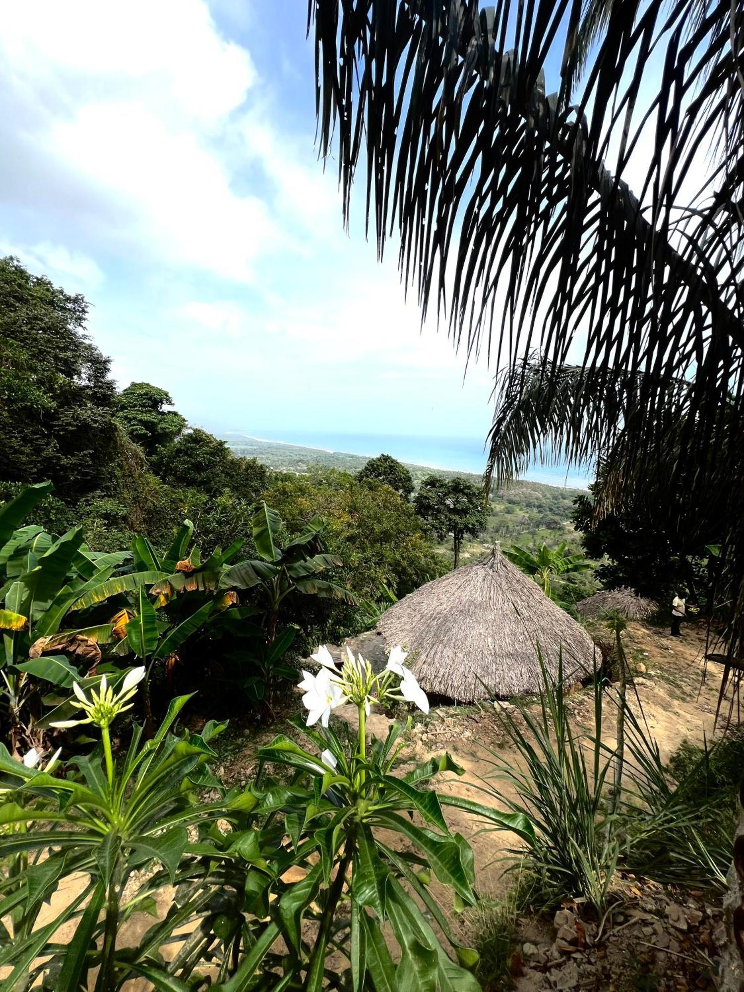 Puerto Alto Otel Buritaca Dış mekan fotoğraf